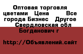 Оптовая торговля цветами › Цена ­ 25 - Все города Бизнес » Другое   . Свердловская обл.,Богданович г.